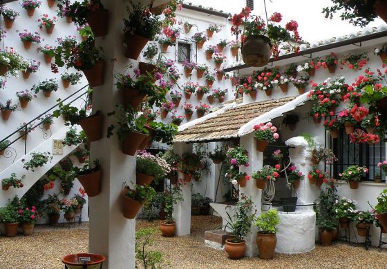 Patio cordobés