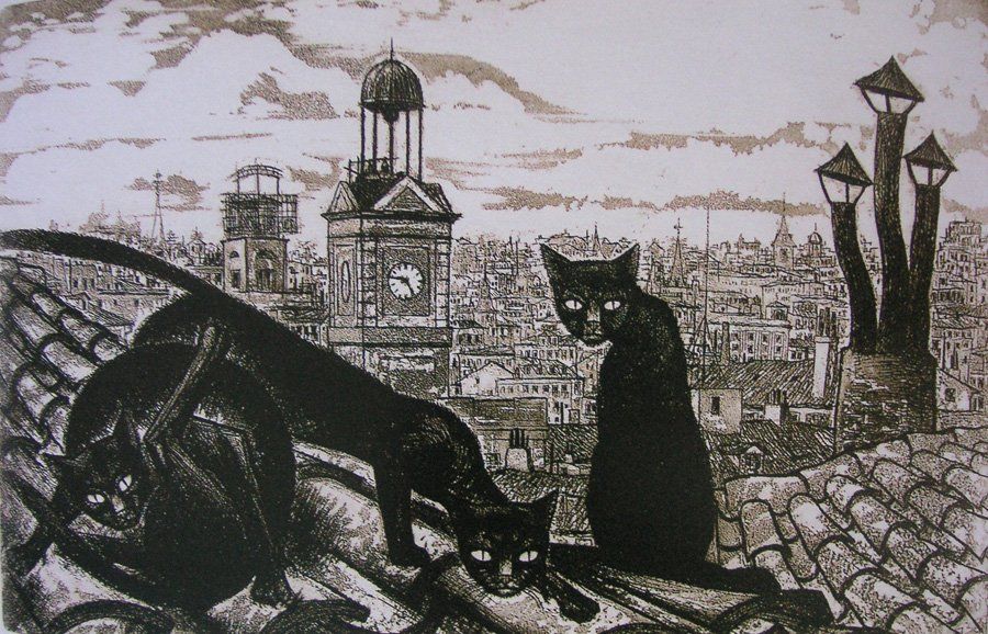 ¿POR QUÉ A LOS MADRILEÑOS NOS LLAMAN GATOS?