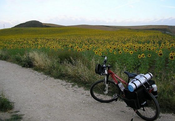 Camino de Santiago (IV). Cizur Menor-Estella(44,5)