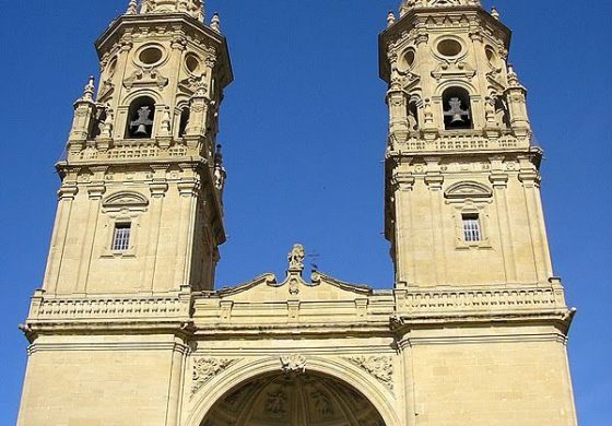 CAMINO DE SANTIAGO (V). ESTELLA-LOGROÑO (48 km)