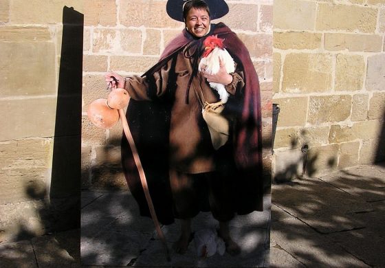 CAMINO DE SANTIAGO (VI). LOGROÑO-SANTO DOMINGO DE LA CALZADA (54 Km)