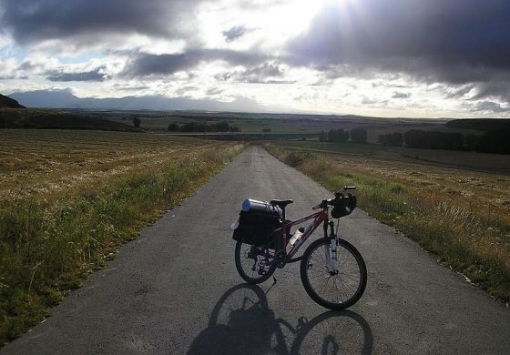 CAMINO DE SANTIAGO (VII). SANTO DOMINGO DE LA CALZADA-BURGOS (73 Km)